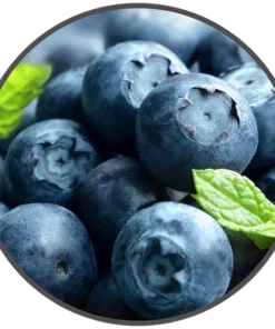 BotR – 10ml – Blueberry 3 mg/ml