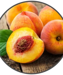 BotR – VP – 0 mg/ml Peach
