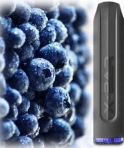 Blueberry Blaubeeren X-Bar 500mAh Einweg NicSalt 650 Züge 20mg