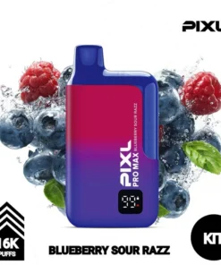 PIXL Pro Max 16000 | KIT | Blueberry Sour Razz