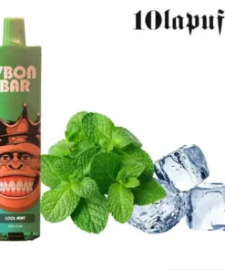 PUFF 9000 VBON – Menthe glacée