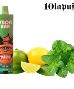 PUFF 9000 VBON – Menthe Citron