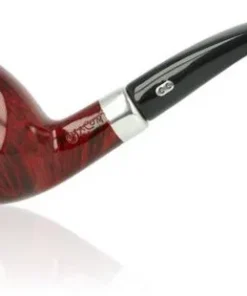 Chacom Pfeife TV Burgundy 871