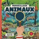 Image du produit précédent