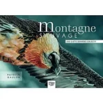 Image du produit précédent
