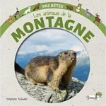 Image du produit précédent