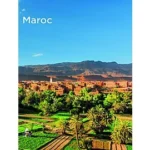 Image du produit précédent
