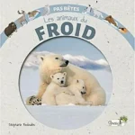 Image du produit précédent